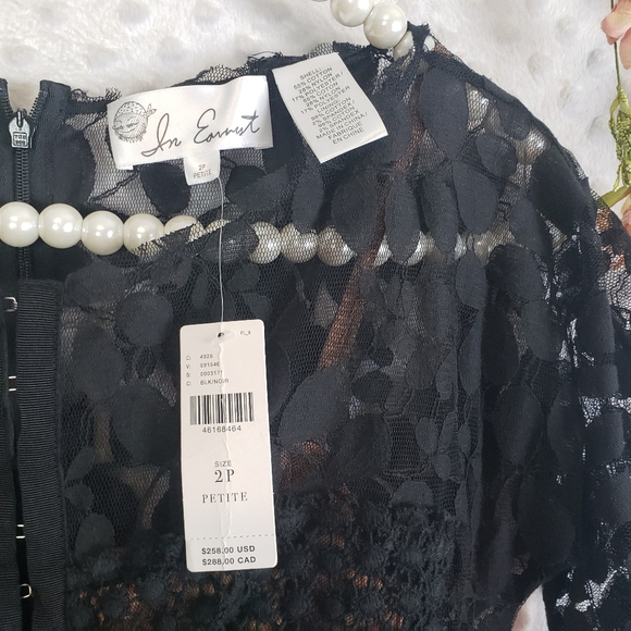 NWT Bryon Lars Anthropologie Carissima Sheath Dress Size 2 P Petite - Picture 7 of 11